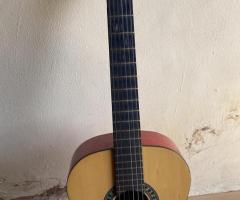 Acoustic Guitar